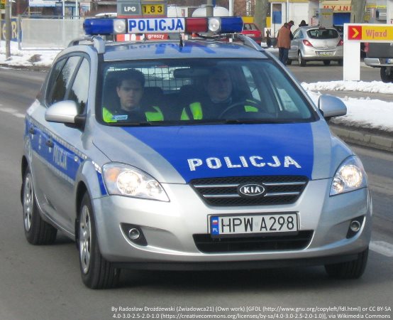 Policja Grodzisk Maz.: Bezpieczny Dzień Rodziny w Szczęsnem