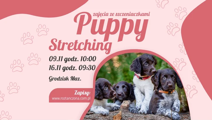 Grafika promocyjna wydarzenia Puppy Stretch w Grodzisku Maz.: rozciąganie ze szczeniaczkami (9 i 16 listopada)