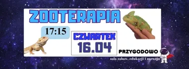 Grafika promocyjna wydarzenia ZOOTERAPIA w Grodzisku Mazowieckim. Spotkanie z agamami i kameleonem dla dzieci
