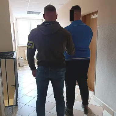 Elektronika znikała z transportu przez trzy miesiące - kierowca wpadł w Grodzisku