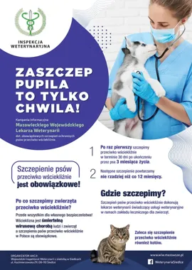 Pies po trzecim miesiącu życia musi zostać zaszczepiony. Termin jest konkretny