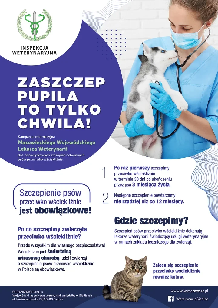 Pies po trzecim miesiącu życia musi zostać zaszczepiony. Termin jest konkretny